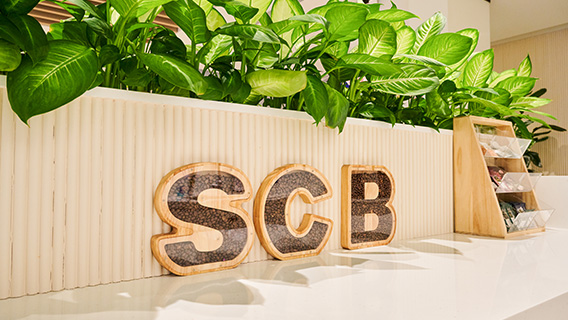 Coffee beans in a standard chartered kitchen.