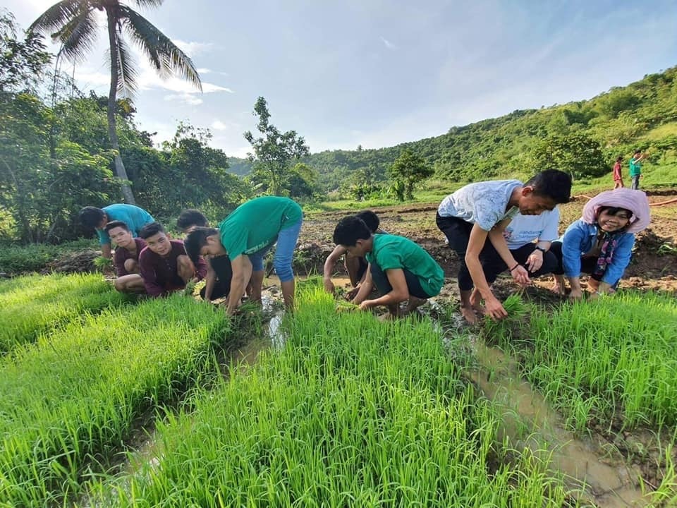 People working in a field in Phillipines