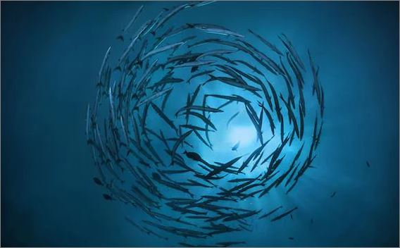 pvb-sustainable-investing-esg-get-to-net-zero