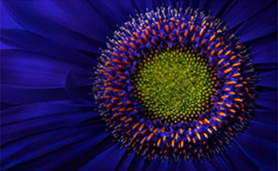 pvb-sustainable-investing-esg-pintile-savings