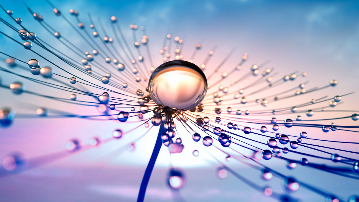 SC-IIT-featured-thumbnail