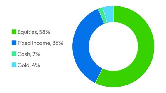 Signature CIO Balanced Fund pie chart