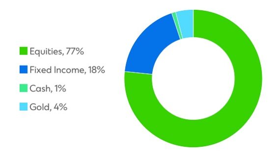 Signature CIO Growth Fund pie chart