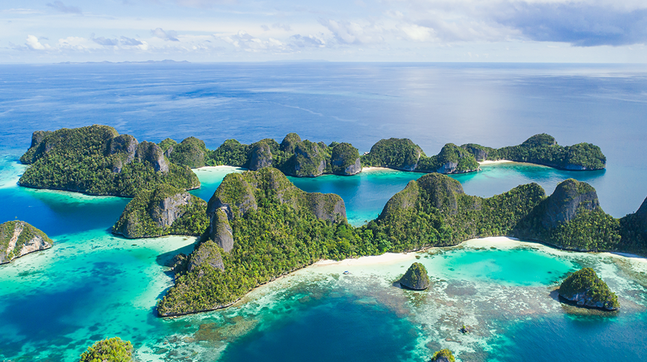 Valuing Nature Cover Image